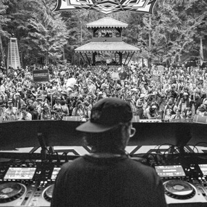 Live @ The Grove - Shambhala 2026