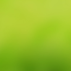 True Saga - Rich Forever