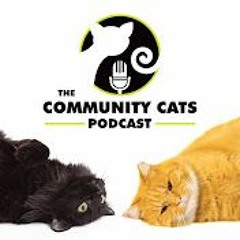 Michael Blackwell - The Community Cats Podcast