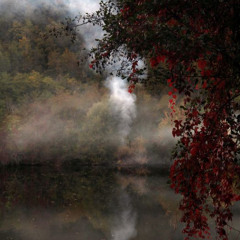 La femme aux chamallows