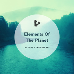 For The Nature Blog