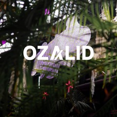 OZALID @ Luft & Liebe Festival | Düsseldorf