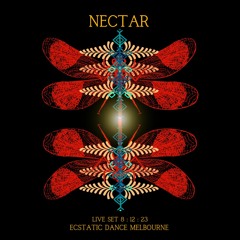 DJ Nectar @ Ecstatic Dance Melbourne 8:12:23