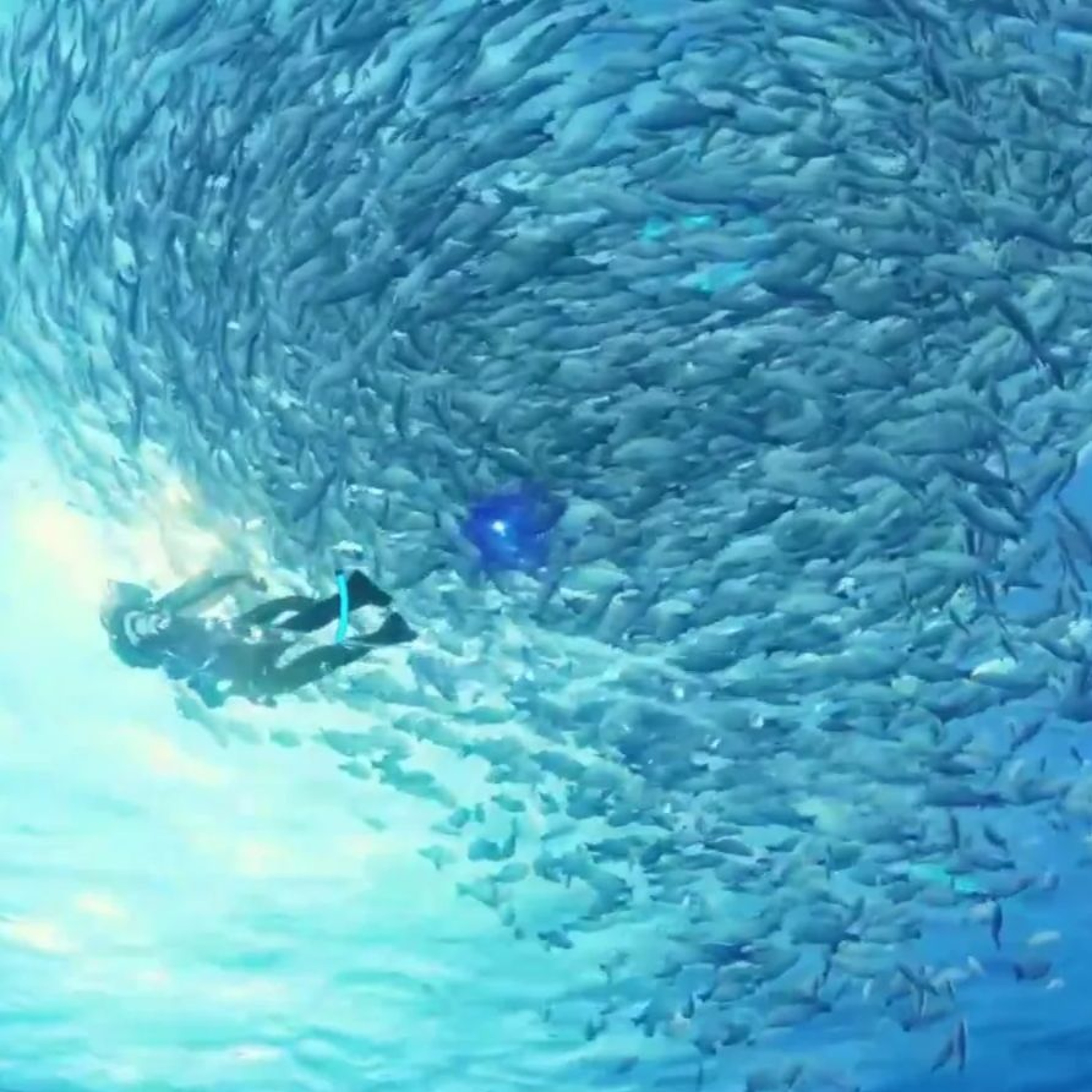 Under the ocean. episode artwork