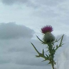 Bonnie bank of loch lomond