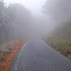 Road To Life.mp3