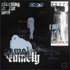 Sleeping In The Void