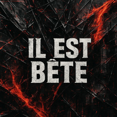IL EST BÊTE
