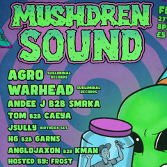 WARHEAD Featuring MC FROST - Live @ Mushdren Sound 27/06/25