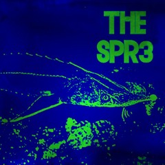 Trauma Sturgeon