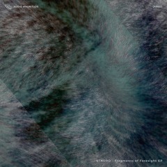 STNDRD - Fragments of Foresight - [AM02] Previews