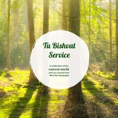 Tu Bishvat : Sunday Reflections and Discussion