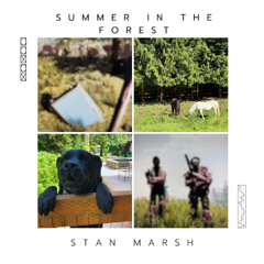 Summer In The Forest