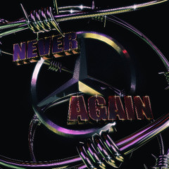 never again (prod young taylor)