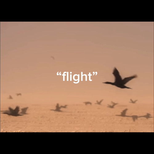 Flight