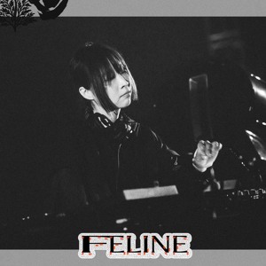 RDC 111 - Feline at Rainbow Disco Club 2026