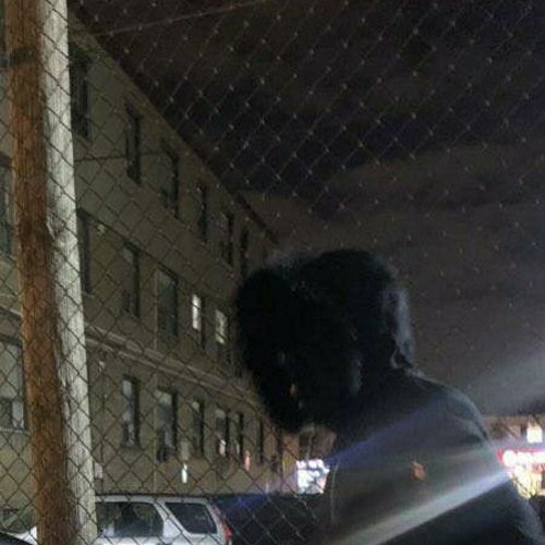 elijxhwtf - risk (true1k xanocery)