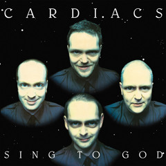 cardiacs quicky mixy