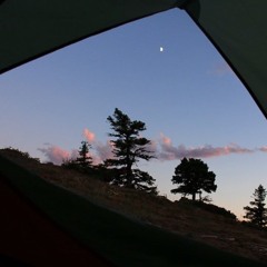 Hanging in the Backyard 2