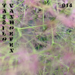 LASTCast 014: Tassilo Vanhoefen
