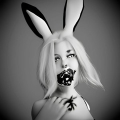 Fukashigi no Carte ( Bunny Girl )