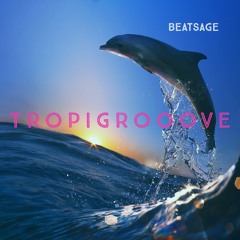 Tropigroove