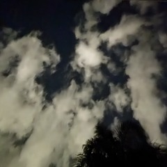 terror this is awful