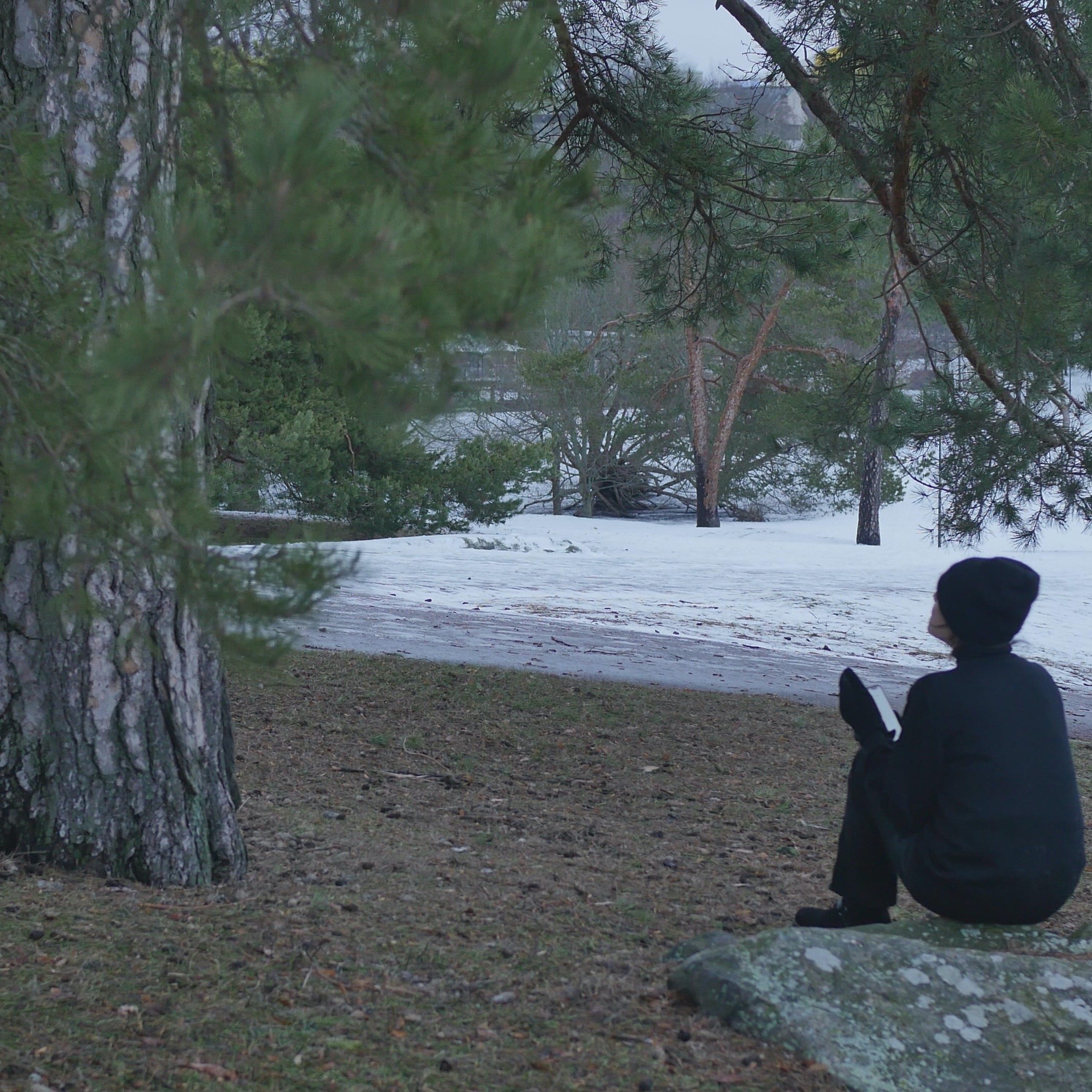 Pondering With A Pine In The Park - 2 episode artwork