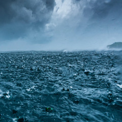 The Atlantic Flow