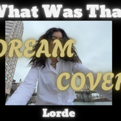 What Was That - Lorde [cover]