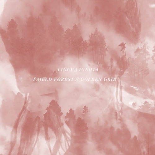 LINGUA IGNOTA - FAILED FOREST // GOLDEN GRID