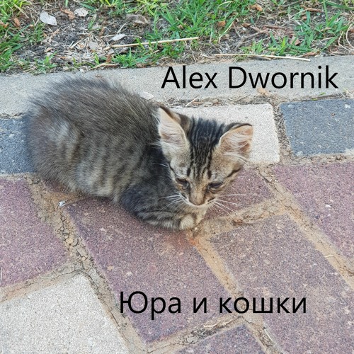 Юра и кошки