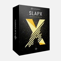 SlapX Demo Beat (Prod by Slap Experts)