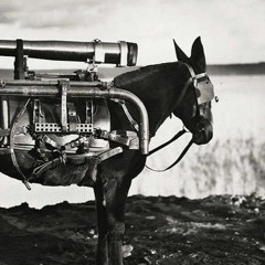 Arrival Of The Donkey Bowmen