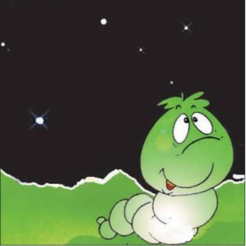 Kerme Shab Taab  -  کرم شب تاب