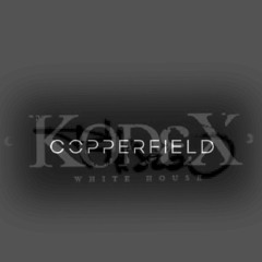 PiH - dziś Judaszu, wczoraj bracie....koperFildRMXXX .mp3