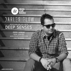 Darles Flow - Deep Senses | Ibiza Live Radio Dj Mix