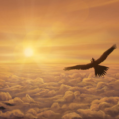Air