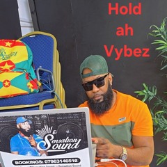 HOLD AH VIBEZ