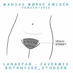 Mansas Mørke Kælder Præsenterer - VenusBjerg w/ Langefar, Cavermis & Botaniske_Stodder