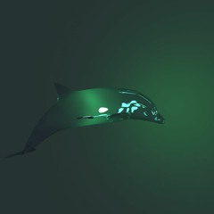 Dolphin Dasher