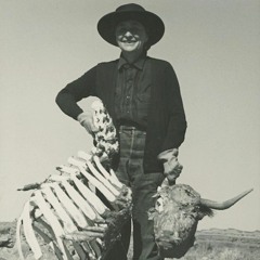 notlieu - Wild Wild West!