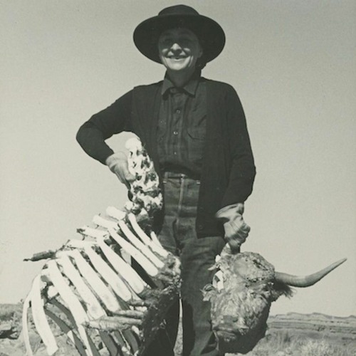notlieu - Wild Wild West!
