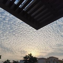 Selfish Jeans - Paint the Sun