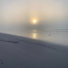 Billie Bossa Nova (Cover)