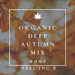 - ORGANIC DEEP AUTUMN MIX - #002 - (2020 - 10 - 31) -