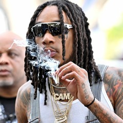 WIZ - POGOJUNT sur le snake snare - LECHAT