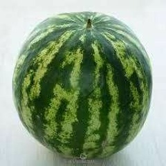 Арбуз понад усе 🍉