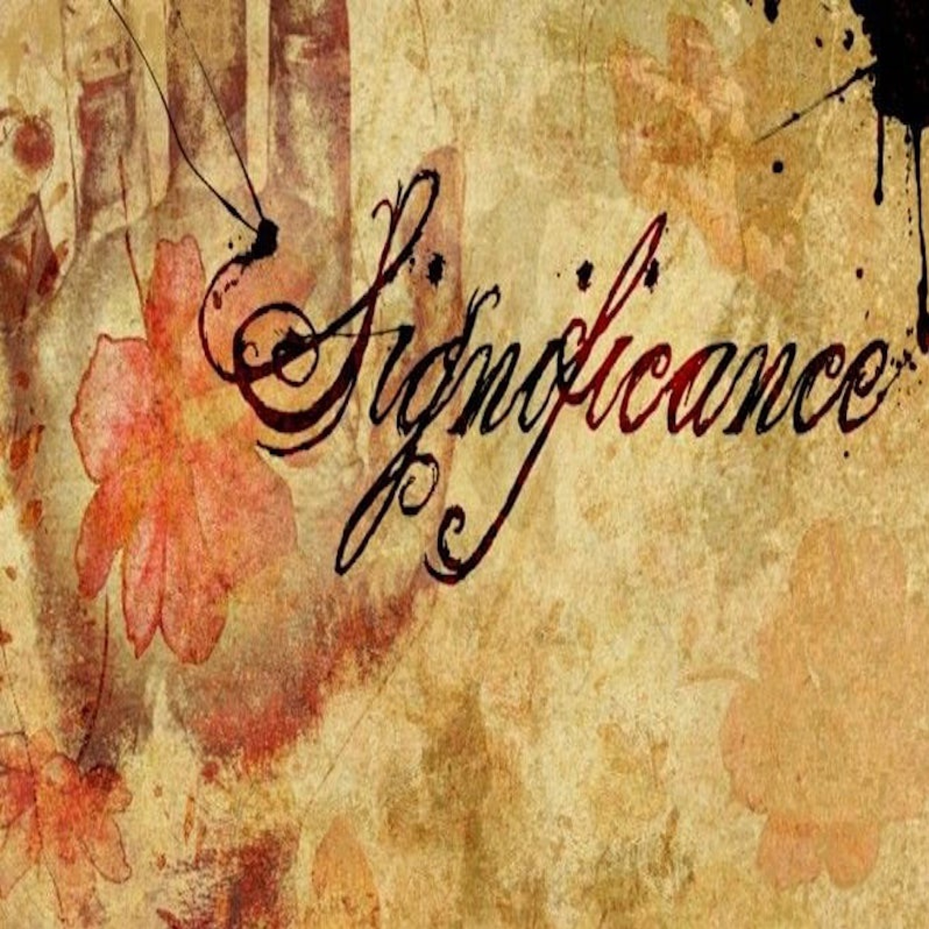 "The Search For Significance" - Paula Waterman episode artwork