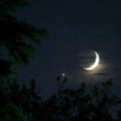 reborn into a world where the moon replaces the sun